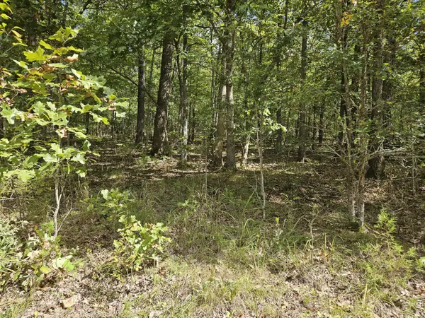 000 Cedar Ridge Lane, Cape Fair, MO 65624