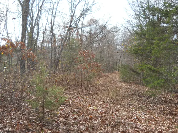 Lot 3 Will Rd, Lampe, MO 65681