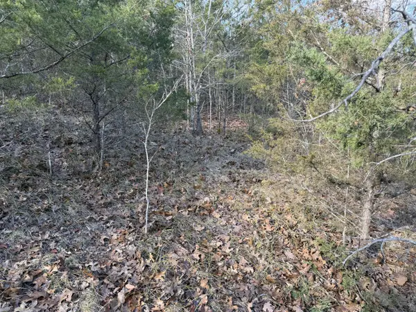 000 Roan Rd, Cape Fair, MO 65624