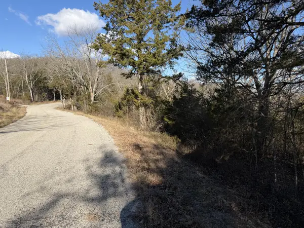 000 Roan Rd,  Cape Fair,  MO 65624