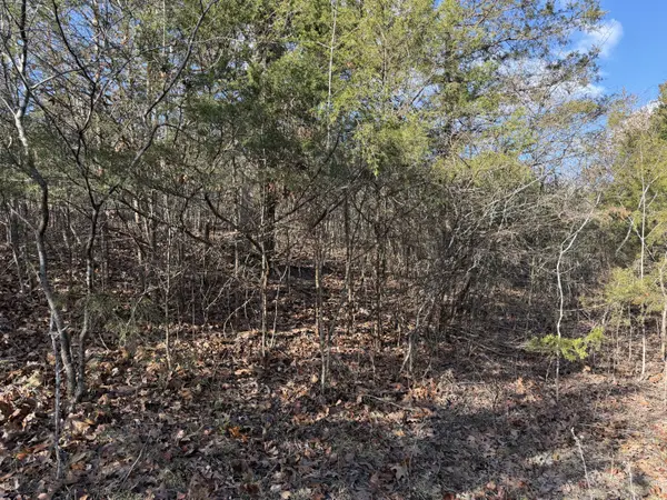 000 Roan Rd, Cape Fair, MO 65624