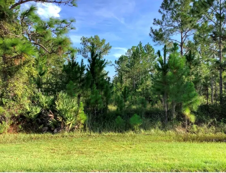 Lot 120 SABAL ST, Orlando, FL 32833