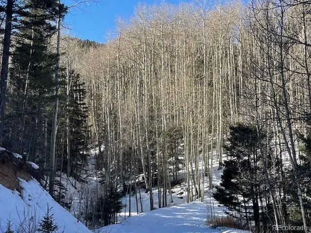 Lot 5252 Scott RD, Fort Garland, CO 81133