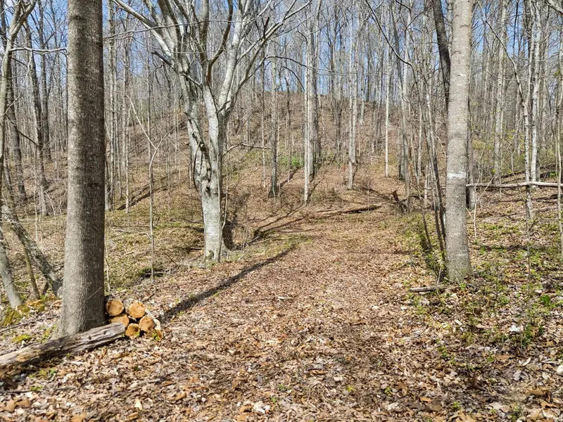 0 Old Highway 31E, Westmoreland, TN 37186
