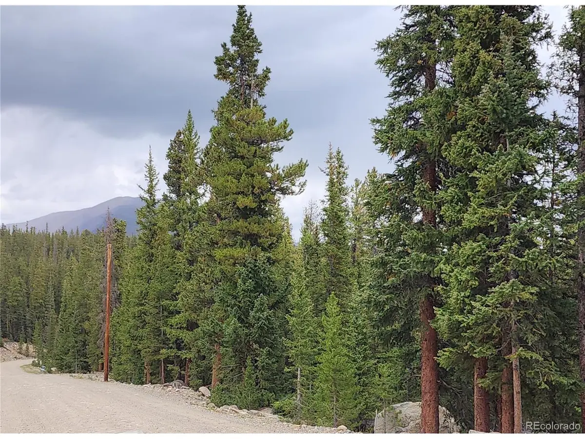 806 Bobcat, Fairplay, CO 80440