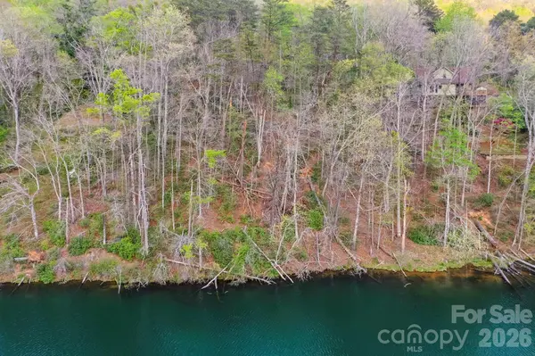 0000 Buffalo Creek RD, Lake Lure, NC 28746