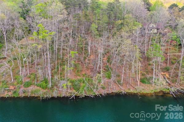 0000 Buffalo Creek RD, Lake Lure, NC 28746