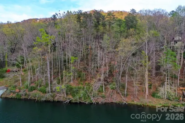0000 Buffalo Creek RD, Lake Lure, NC 28746