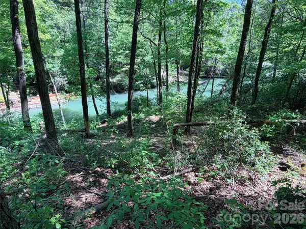 595 Quail Ridge BLVD, Lake Lure, NC 28746