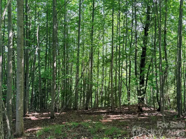 Lot 8 High Rock RDG, Lake Lure, NC 28746