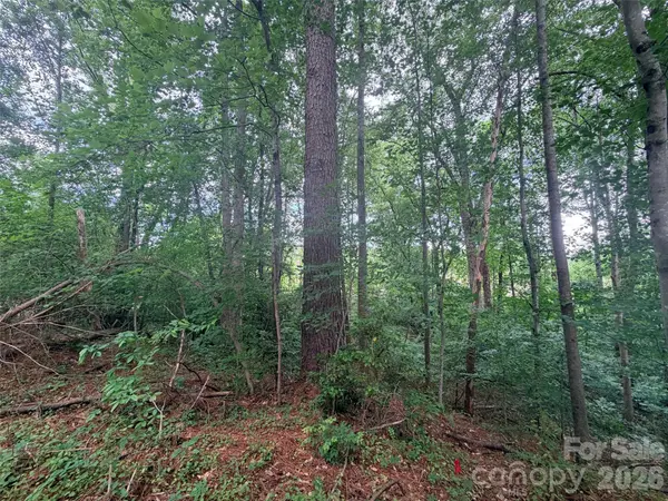 Lot 12 Sheepnose DR, Lake Lure, NC 28746