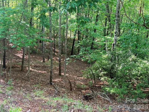 0 Mcdaniel CT, Lake Lure, NC 28746