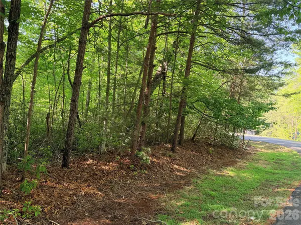 0 Mcdaniel CT, Lake Lure, NC 28746