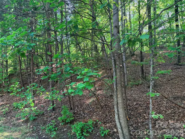 0000 Lakewood DR, Lake Lure, NC 28746