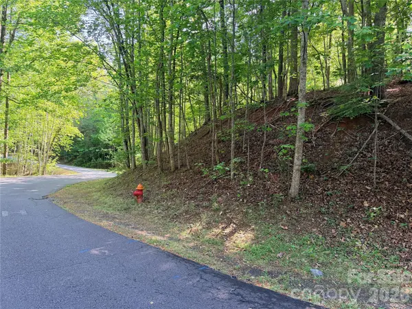 0000 Lakewood DR, Lake Lure, NC 28746