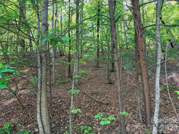 0000 Lakewood DR, Lake Lure, NC 28746
