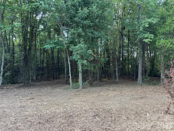13.5 +/- Acres Mooresville RD, Mooresville, NC 28115