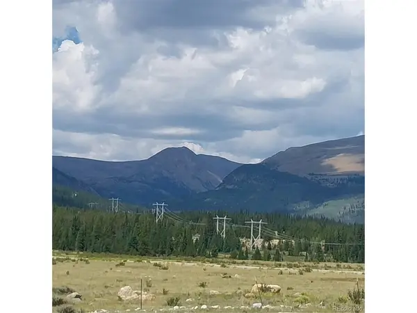 64 Glissade, Alma, CO 80420
