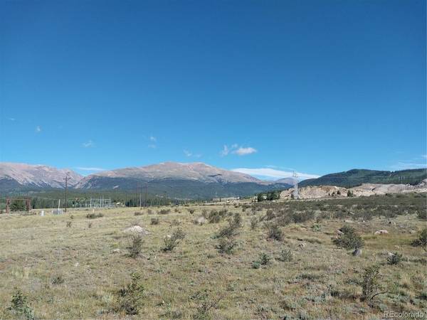 64 Glissade, Alma, CO 80420