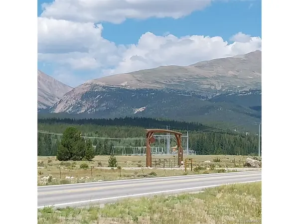 64 Glissade, Alma, CO 80420