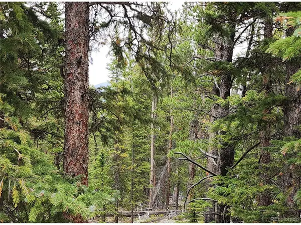 806 Bobcat, Fairplay, CO 80440