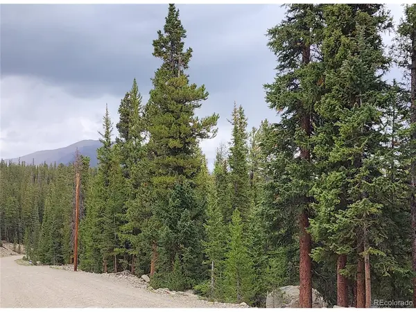 806 Bobcat, Fairplay, CO 80440