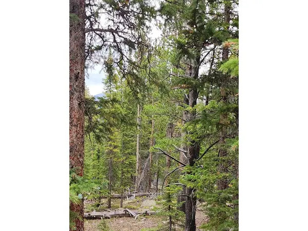 806 Bobcat, Fairplay, CO 80440