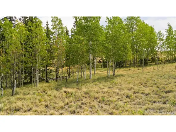 540 Turk Pony, Como, CO 80432