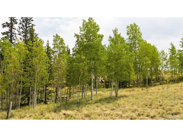 540 Turk Pony, Como, CO 80432