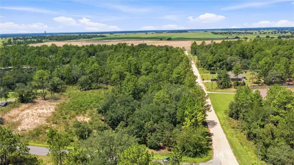 Lot 14 SW 81 ST. & SW 137TH CT., Dunnellon, FL 34432