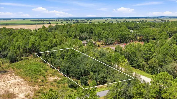 Lot 14 SW 81 ST. & SW 137TH CT., Dunnellon, FL 34432