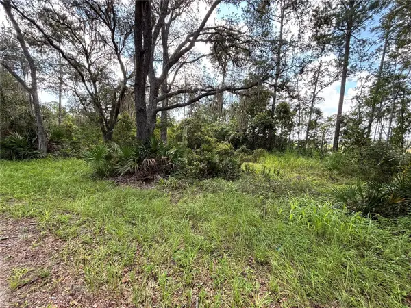 246 BROWNS HAMMOCK RD, Crescent City, FL 32112