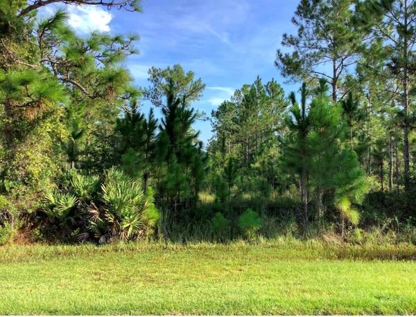 Lot 120 SABAL ST, Orlando, FL 32833