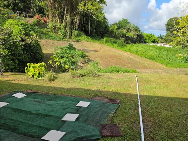 26 REY FERNANDO, Rio Grande, PR 00745