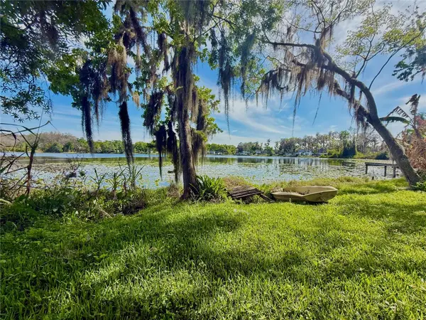 14618 GENEVA DR, Odessa, FL 33556