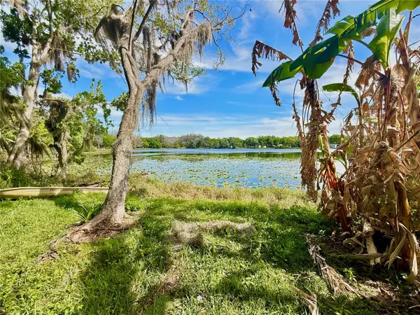 14618 GENEVA DR, Odessa, FL 33556