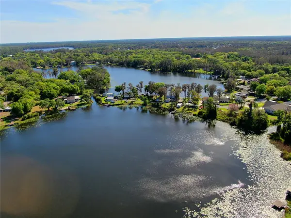 14618 GENEVA DR, Odessa, FL 33556