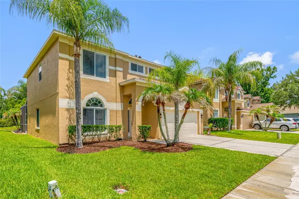 25147 GEDDY DR, Land O Lakes, FL 34639