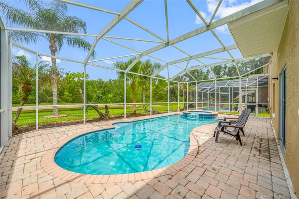 25147 GEDDY DR, Land O Lakes, FL 34639
