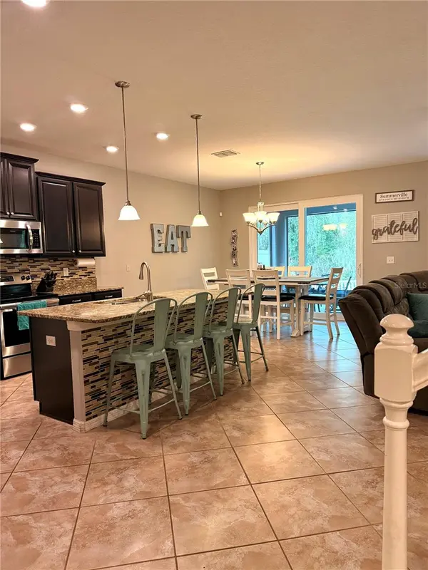 14250 BLUE DASHER DR, Riverview, FL 33569