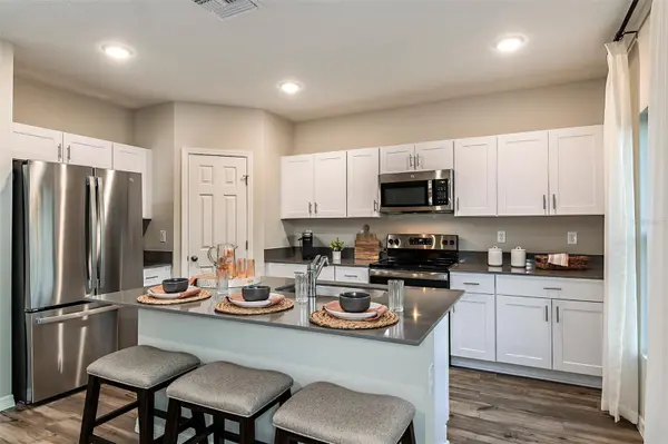 31685 OYSTER TRELLIS LN, Wesley Chapel, FL 33545