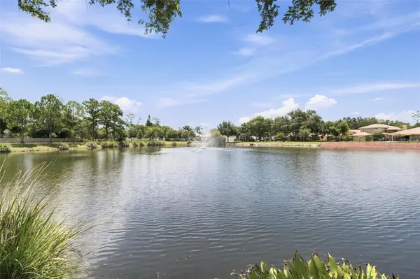 1469 RIVERDALE DR, Oldsmar, FL 34677