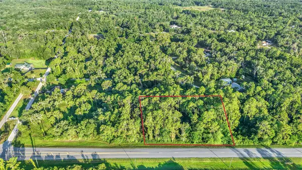 0 TREIMAN BLVD, Webster, FL 33597