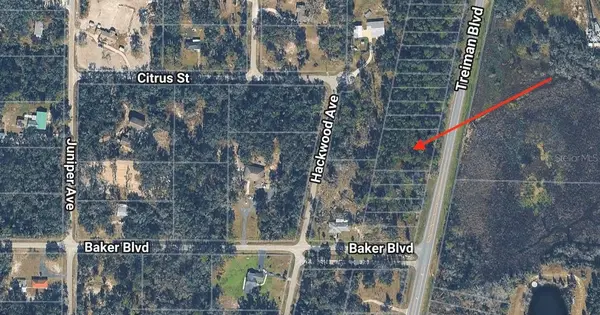 0 TREIMAN BLVD, Webster, FL 33597