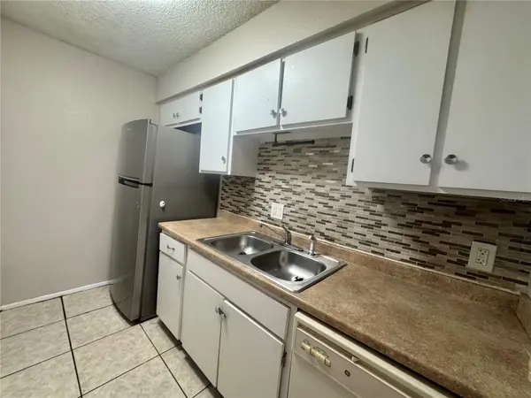 5503 POKEWEED CT #C, Tampa, FL 33617