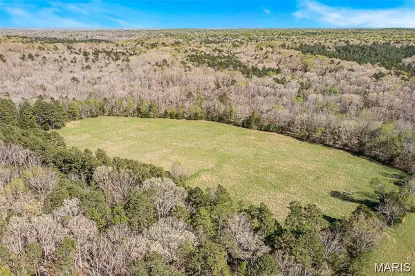 1 Off Highway M, Silva, MO 63964