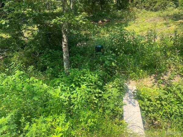 00 County Road 341, Piedmont, MO 63957