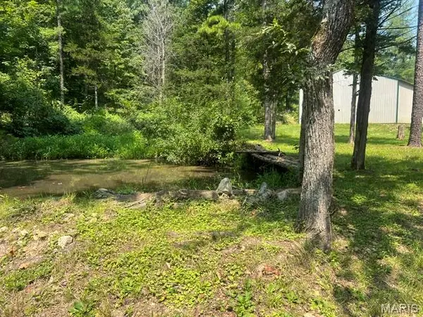 00 County Road 341, Piedmont, MO 63957