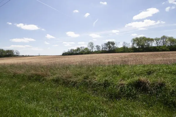 0000 Rt 113, Bonfield, IL 60913