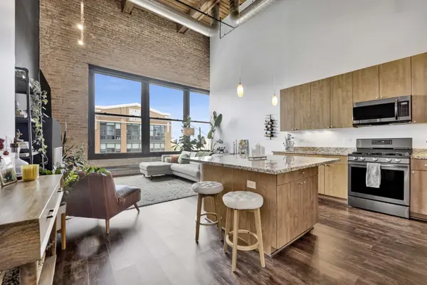 2303 S MICHIGAN AVE #507, Chicago, IL 60616
